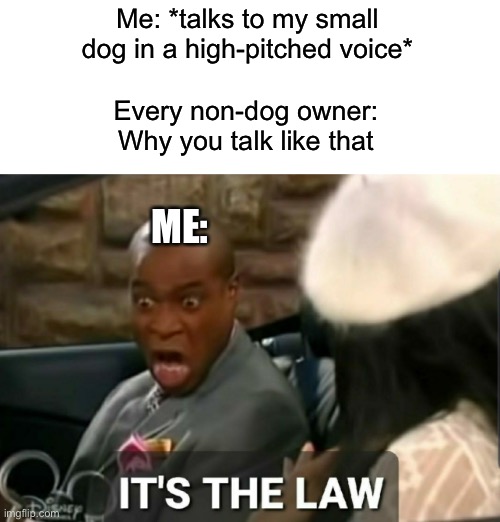 It’s the lawwwh | Me: *talks to my small dog in a high-pitched voice*; Every non-dog owner: Why you talk like that; ME: | image tagged in it's the law,dogs,funny,funny memes,its the law,upvote begging | made w/ Imgflip meme maker