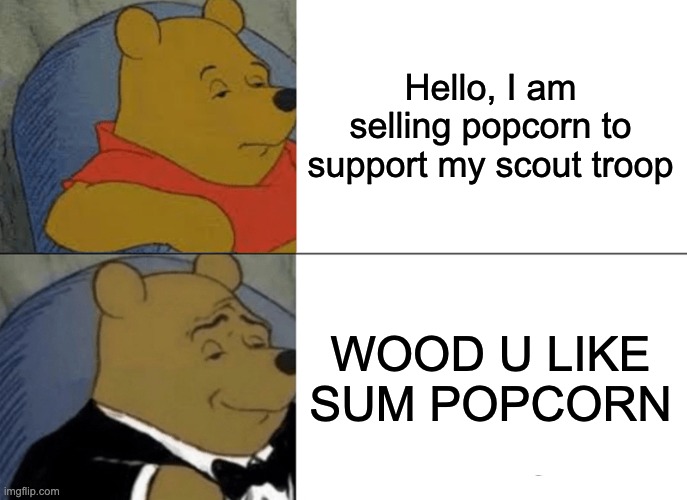 does this actually work when you are doing this |  Hello, I am selling popcorn to support my scout troop; WOOD U LIKE SUM POPCORN | image tagged in memes,tuxedo winnie the pooh | made w/ Imgflip meme maker