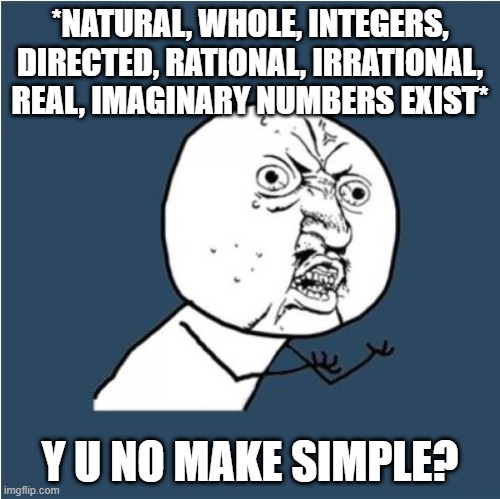 Math is too comlicated for us homo sapiens (Yes I am a little bit of a nerd) | *NATURAL, WHOLE, INTEGERS, DIRECTED, RATIONAL, IRRATIONAL, REAL, IMAGINARY NUMBERS EXIST*; Y U NO MAKE SIMPLE? | image tagged in y u no | made w/ Imgflip meme maker