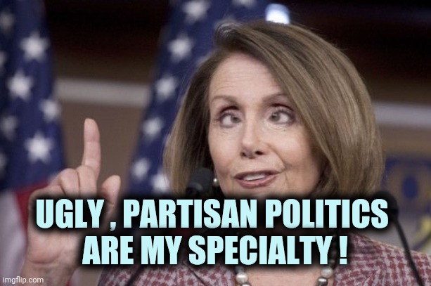 Expert in division , but she can't do math | UGLY , PARTISAN POLITICS 
ARE MY SPECIALTY ! | image tagged in nancy pelosi,america last,politicians suck,are you really in charge here,puppet master | made w/ Imgflip meme maker