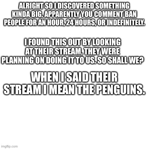 WHEN I SAID THEIR STREAM I MEAN THE PENGUINS. | image tagged in blank white template,anime,anime meme,animeme | made w/ Imgflip meme maker
