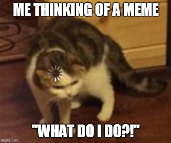 Loading cat | ME THINKING OF A MEME; "WHAT DO I DO?!" | image tagged in loading cat | made w/ Imgflip meme maker