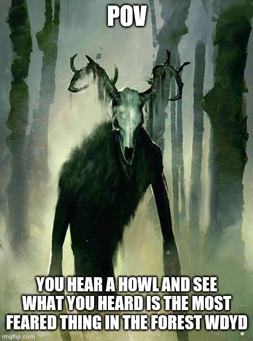 * | POV; YOU HEAR A HOWL AND SEE WHAT YOU HEARD IS THE MOST FEARED THING IN THE FOREST WDYD | made w/ Imgflip meme maker