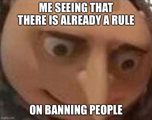 what the heck happened here | ME SEEING THAT THERE IS ALREADY A RULE; ON BANNING PEOPLE | image tagged in gru meme | made w/ Imgflip meme maker