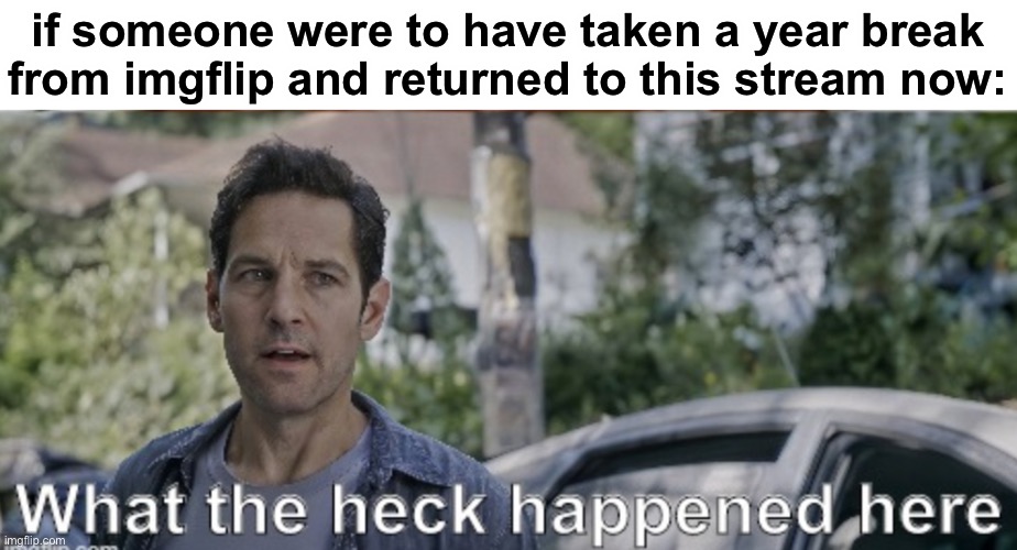 LOL | if someone were to have taken a year break from imgflip and returned to this stream now: | image tagged in antman what the heck happened here | made w/ Imgflip meme maker
