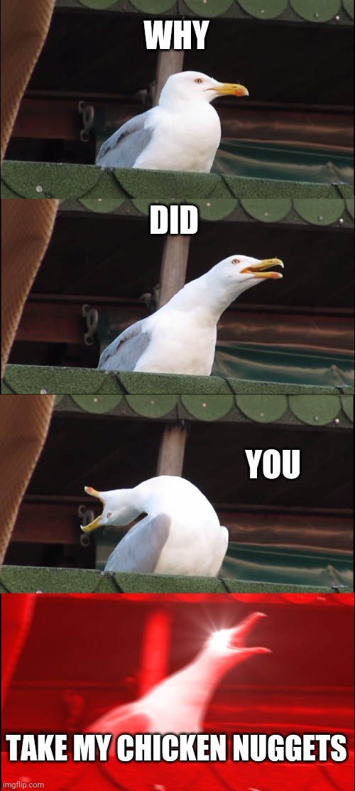 Inhaling Seagull |  WHY; DID; YOU; TAKE MY CHICKEN NUGGETS | image tagged in memes,inhaling seagull | made w/ Imgflip meme maker