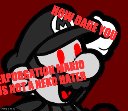 HOW DARE YOU EXPURGATION MARIO IS NOT A NEKO HATER | made w/ Imgflip meme maker
