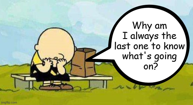 ◄► Reaction: Last to know what's going on—Charlie Brown | Why am I always the last one to know
what's going
 on? | image tagged in charlie brown,what's going on,comment,reaction | made w/ Imgflip meme maker