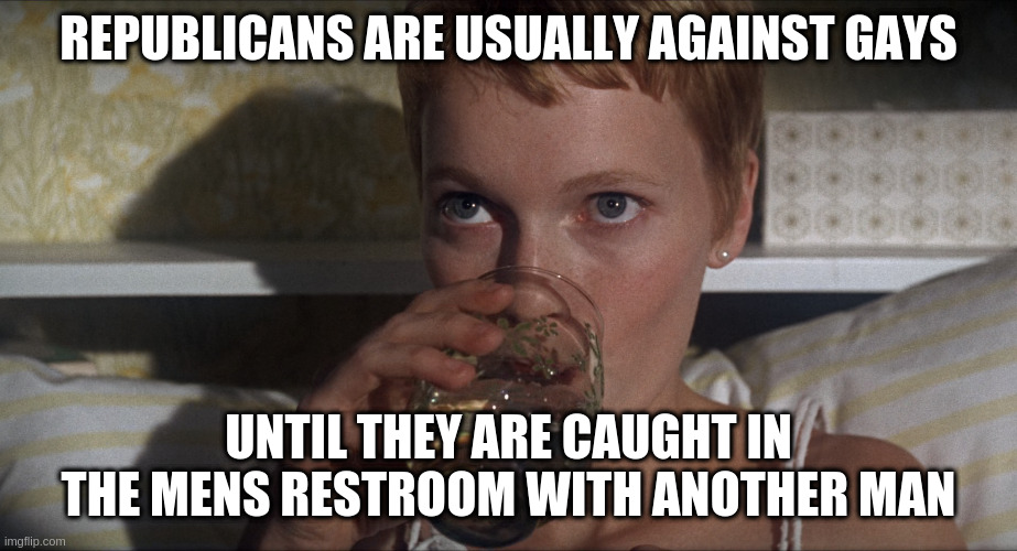 Its true, innit | REPUBLICANS ARE USUALLY AGAINST GAYS; UNTIL THEY ARE CAUGHT IN THE MENS RESTROOM WITH ANOTHER MAN | image tagged in rosemary,hypocrite,gop,gay | made w/ Imgflip meme maker