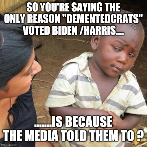Third World Skeptical Kid | SO YOU'RE SAYING THE ONLY REASON "DEMENTEDCRATS" VOTED BIDEN /HARRIS.... .......IS BECAUSE THE MEDIA TOLD THEM TO ? | image tagged in memes,third world skeptical kid | made w/ Imgflip meme maker