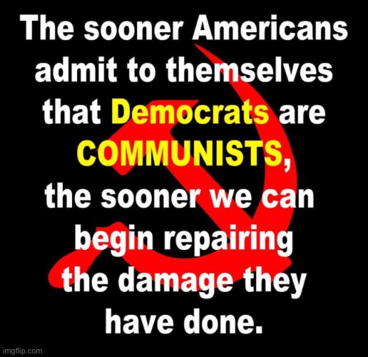 Democrats | image tagged in democratic party,democrats,communism,memes,democratic socialism | made w/ Imgflip meme maker