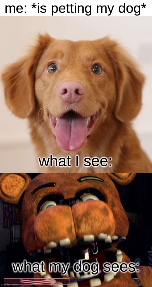 me: *is petting my dog*; what I see:; what my dog sees: | image tagged in fnaf,five nights at freddys,five nights at freddy's | made w/ Imgflip meme maker