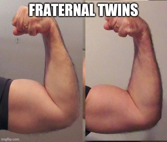 Biceps |  FRATERNAL TWINS | image tagged in biceps,funny meme,flex,guns,swole,twin peaks | made w/ Imgflip meme maker
