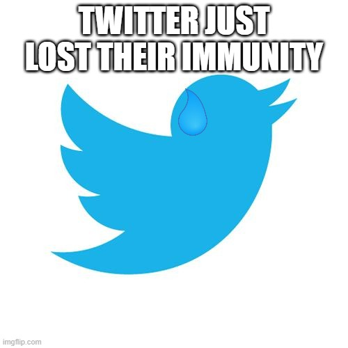 So they either change or die for their policies against America and their lies to America | TWITTER JUST LOST THEIR IMMUNITY | image tagged in twitter birds says | made w/ Imgflip meme maker