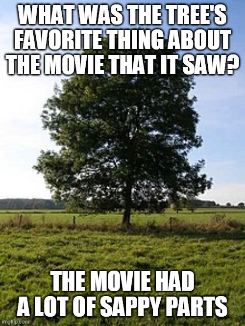 WHAT WAS THE TREE'S FAVORITE THING ABOUT THE MOVIE THAT IT SAW? THE MOVIE HAD A LOT OF SAPPY PARTS | image tagged in eyeroll,bad pun,meme,tree,movie,scenes | made w/ Imgflip meme maker