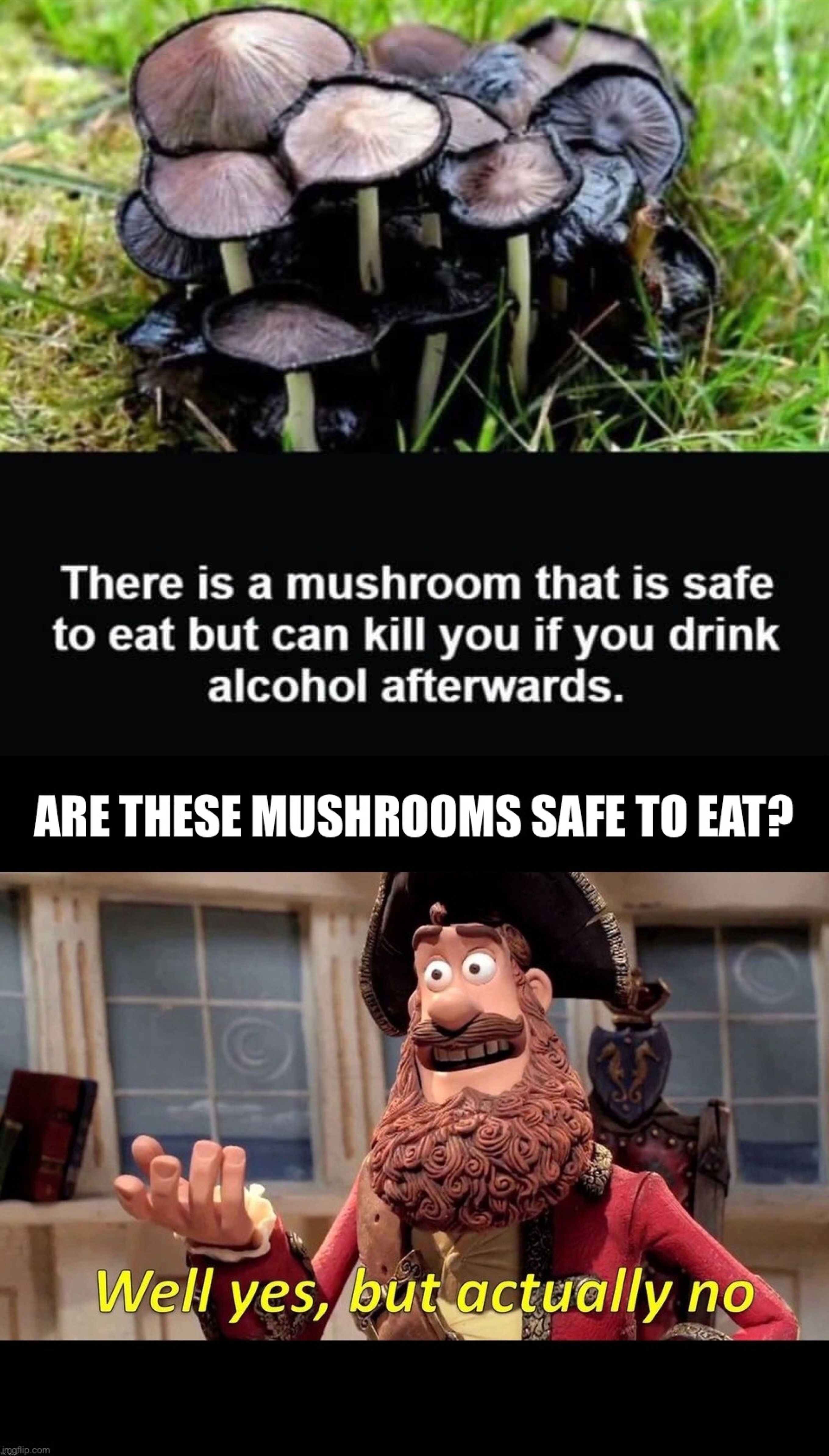 image tagged in mushrooms,well yes but actually no | made w/ Imgflip meme maker