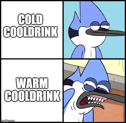 Just no | COLD COOLDRINK; WARM COOLDRINK | image tagged in mordecai disgusted | made w/ Imgflip meme maker