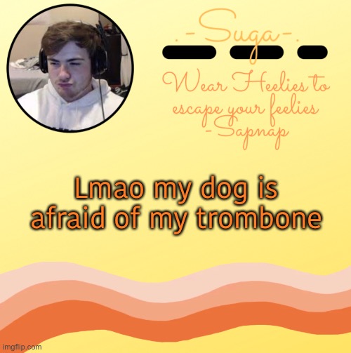 Sapnap t e m p | Lmao my dog is afraid of my trombone | image tagged in sapnap t e m p | made w/ Imgflip meme maker