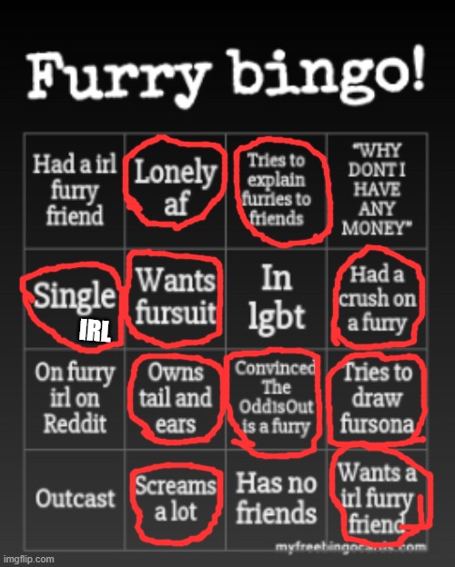 im still a furry anyway | IRL | image tagged in furry bingo | made w/ Imgflip meme maker