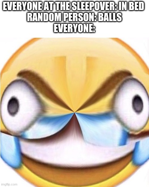 EVERYONE AT THE SLEEPOVER: IN BED 
RANDOM PERSON: BALLS
EVERYONE: | made w/ Imgflip meme maker
