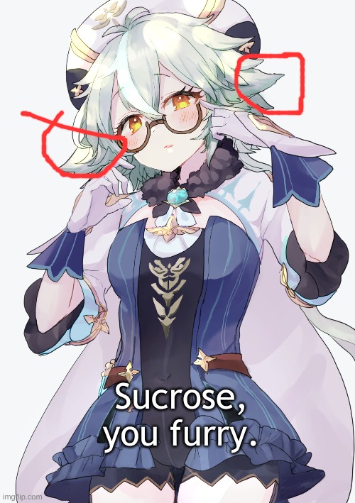 Sucrose, you furry. | made w/ Imgflip meme maker