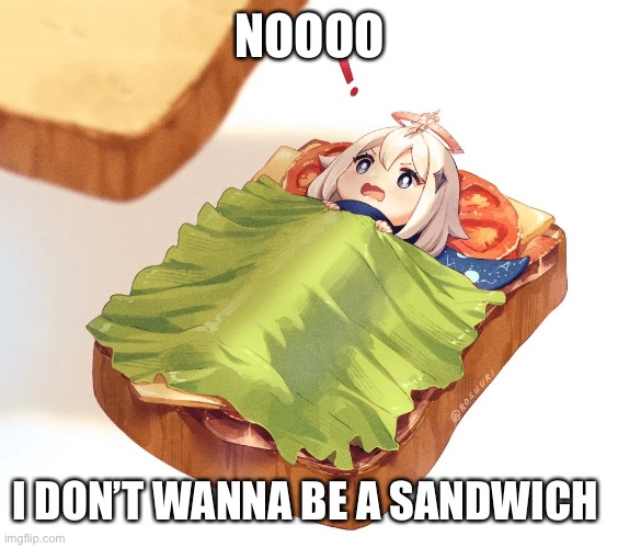 NOOOO; I DON’T WANNA BE A SANDWICH | made w/ Imgflip meme maker