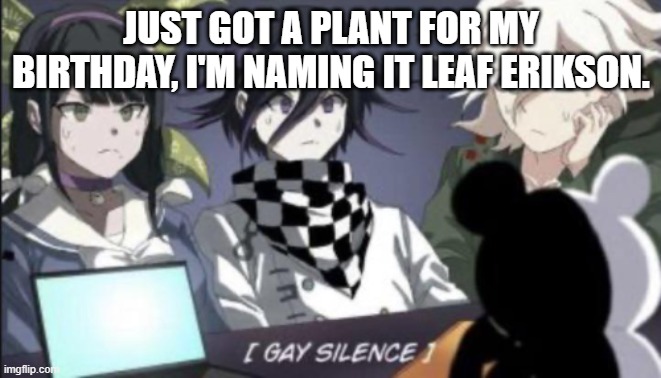 E | JUST GOT A PLANT FOR MY BIRTHDAY, I'M NAMING IT LEAF ERIKSON. | image tagged in gay silence | made w/ Imgflip meme maker