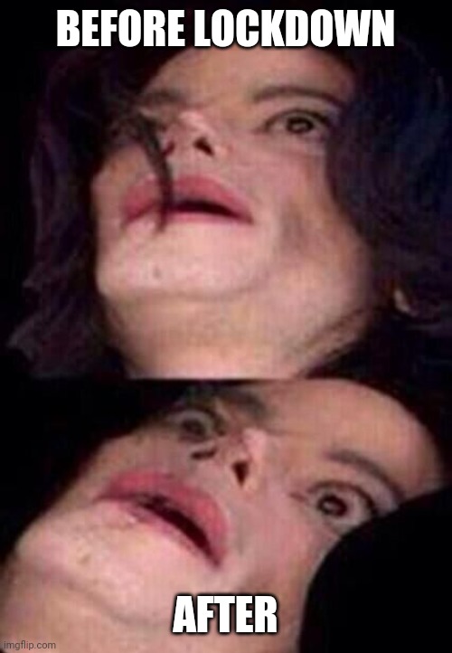 Michael Jackson Shock | BEFORE LOCKDOWN; AFTER | image tagged in michael jackson shock | made w/ Imgflip meme maker