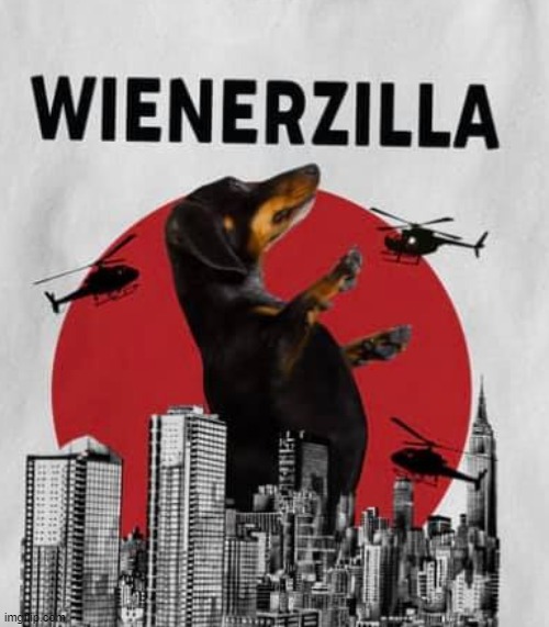 Wienerzilla | image tagged in dogs | made w/ Imgflip meme maker