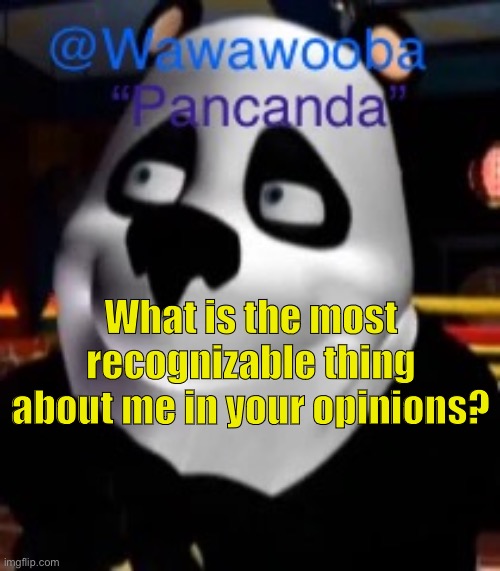 Just wondering | What is the most recognizable thing about me in your opinions? | image tagged in wawa s pancanda template | made w/ Imgflip meme maker
