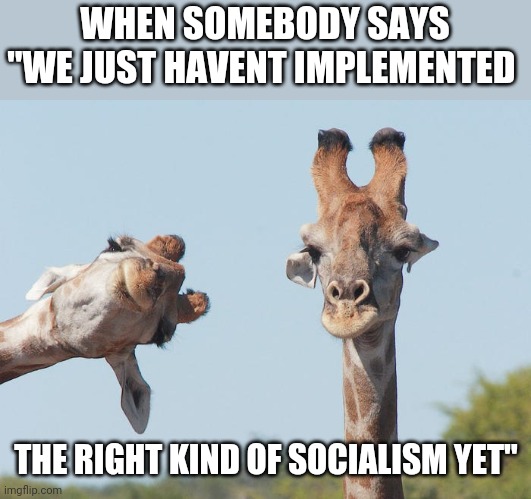WHEN SOMEBODY SAYS "WE JUST HAVENT IMPLEMENTED; THE RIGHT KIND OF SOCIALISM YET" | image tagged in funny memes | made w/ Imgflip meme maker