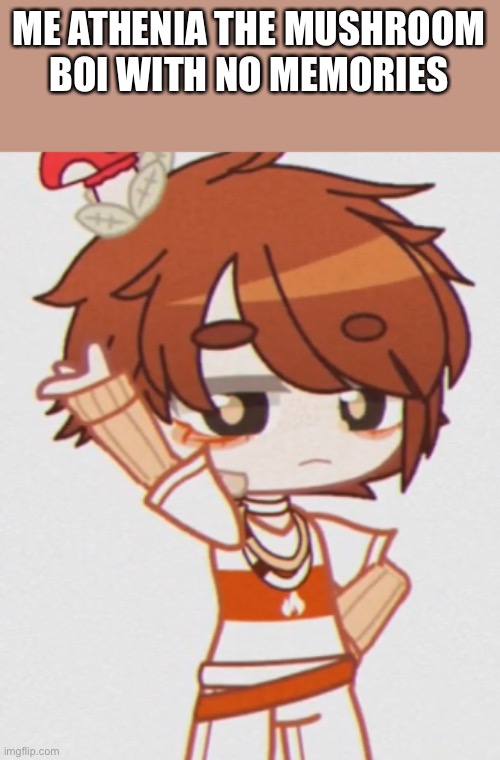 ME ATHENIA THE MUSHROOM BOI WITH NO MEMORIES | made w/ Imgflip meme maker