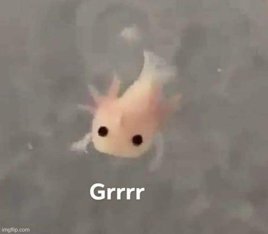 Grrr | image tagged in grrr | made w/ Imgflip meme maker