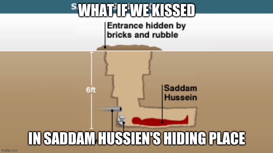  WHAT IF WE KISSED; IN SADDAM HUSSIEN'S HIDING PLACE | image tagged in saddam hussien hiding place,funny,memes | made w/ Imgflip meme maker