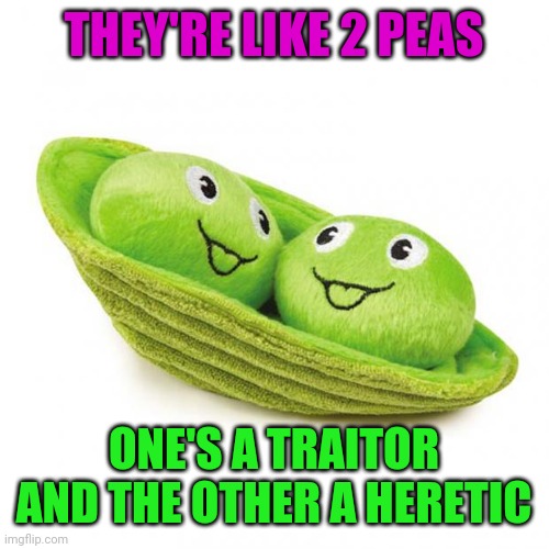 peas in a pod | THEY'RE LIKE 2 PEAS ONE'S A TRAITOR AND THE OTHER A HERETIC | image tagged in peas in a pod | made w/ Imgflip meme maker