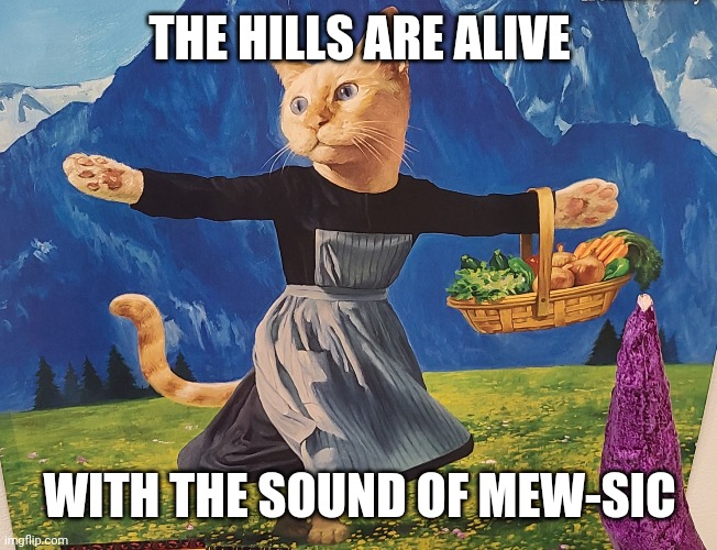 The sound of mew-sic | THE HILLS ARE ALIVE; WITH THE SOUND OF MEW-SIC | image tagged in cat,sound of music | made w/ Imgflip meme maker