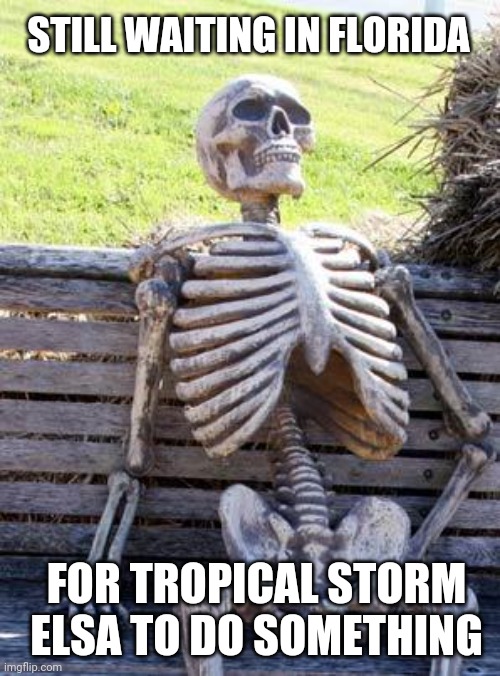 Tropical Storm Elsa |  STILL WAITING IN FLORIDA; FOR TROPICAL STORM ELSA TO DO SOMETHING | image tagged in waiting skeleton,tropical storm elsa,hurricane watch,florida,waiting for hurricane,funny | made w/ Imgflip meme maker
