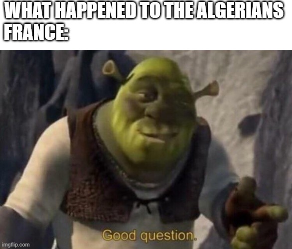 Shrek good question | WHAT HAPPENED TO THE ALGERIANS

FRANCE: | image tagged in shrek good question | made w/ Imgflip meme maker