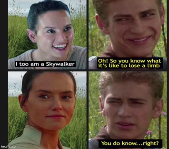 You aren't really a Skywalker until you lose a limb | made w/ Imgflip meme maker