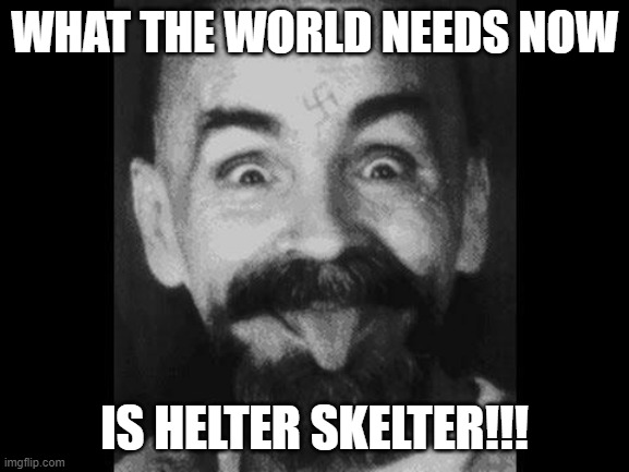 It's time... | WHAT THE WORLD NEEDS NOW IS HELTER SKELTER!!! | image tagged in it's time | made w/ Imgflip meme maker