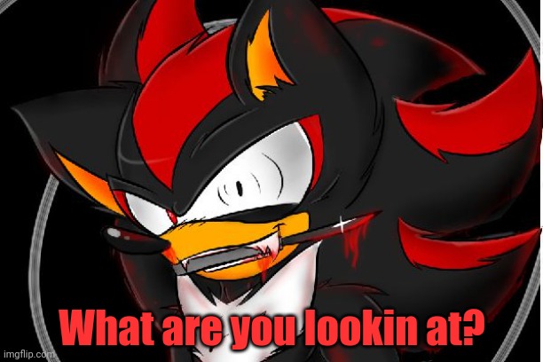 I wouldn't go around Shadow if I were anyone... | What are you lookin at? | image tagged in shadow the hedgehog,nmcs,ah shit here we go again,oh wow are you actually reading these tags | made w/ Imgflip meme maker