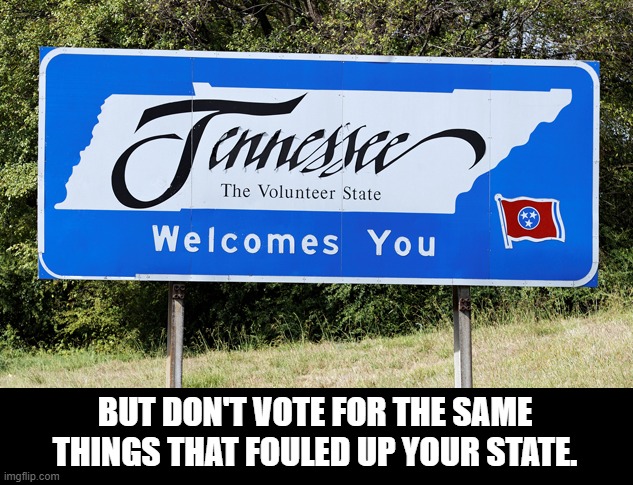 BUT DON'T VOTE FOR THE SAME THINGS THAT FOULED UP YOUR STATE. | made w/ Imgflip meme maker