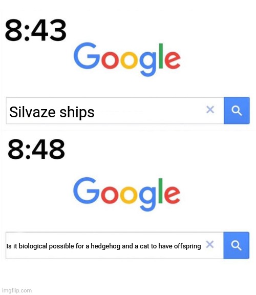 Big brain time | Silvaze ships; Is it biological possible for a hedgehog and a cat to have offspring | image tagged in google before after,big brain,420 blaze it,sonic the hedgehog | made w/ Imgflip meme maker