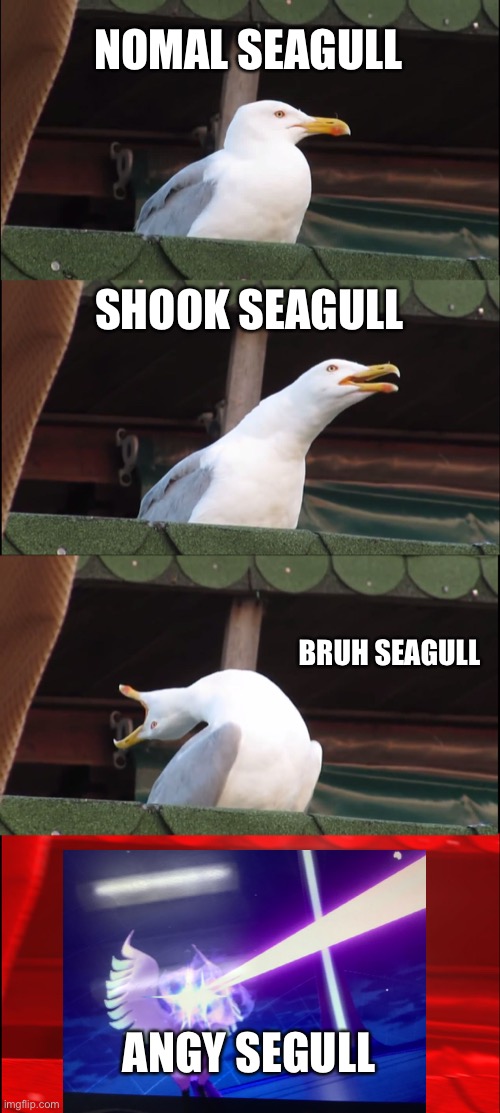 title | NOMAL SEAGULL; SHOOK SEAGULL; BRUH SEAGULL; ANGY SEGULL | image tagged in memes,inhaling seagull | made w/ Imgflip meme maker