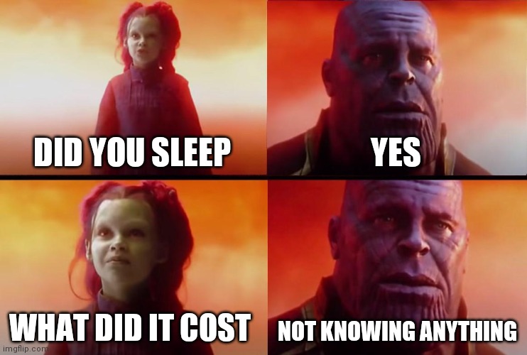 thanos what did it cost | DID YOU SLEEP YES WHAT DID IT COST NOT KNOWING ANYTHING | image tagged in thanos what did it cost | made w/ Imgflip meme maker