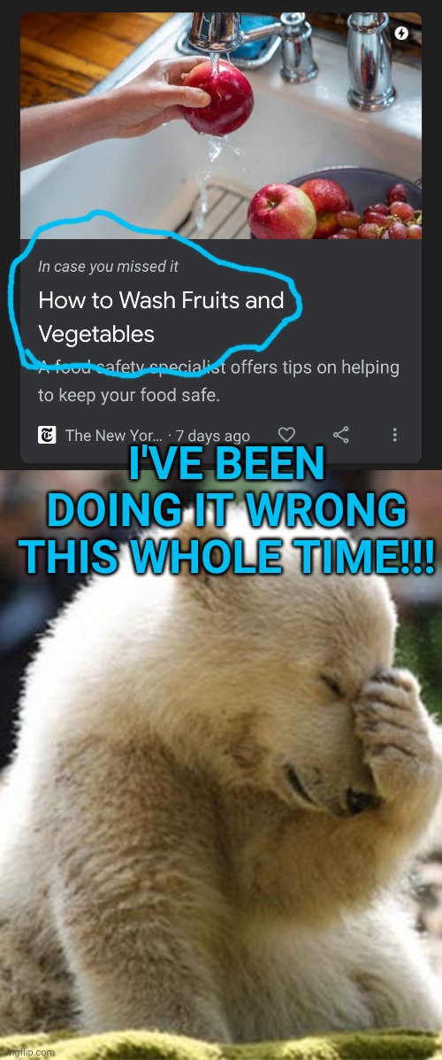 I am not worthy enough to know the secrets of washing fruits and vegetables | I'VE BEEN DOING IT WRONG THIS WHOLE TIME!!! | image tagged in memes,facepalm bear,gmo fruits vegetables,water,hmm yes | made w/ Imgflip meme maker