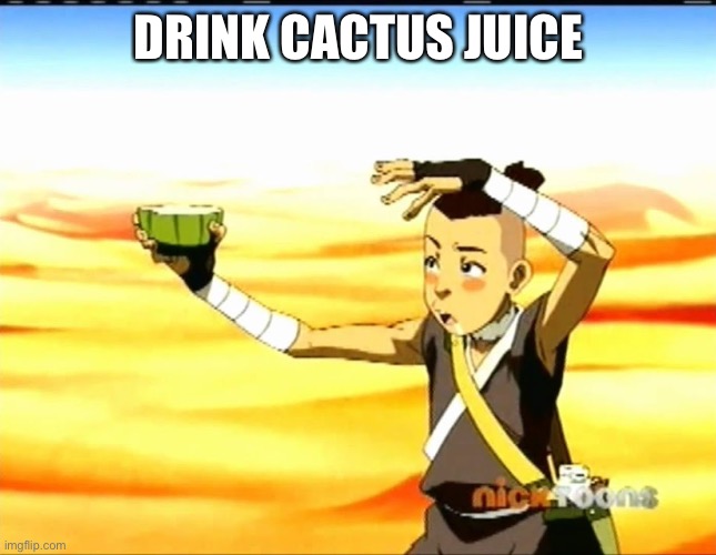 sokka cactus juice | DRINK CACTUS JUICE | image tagged in sokka cactus juice | made w/ Imgflip meme maker