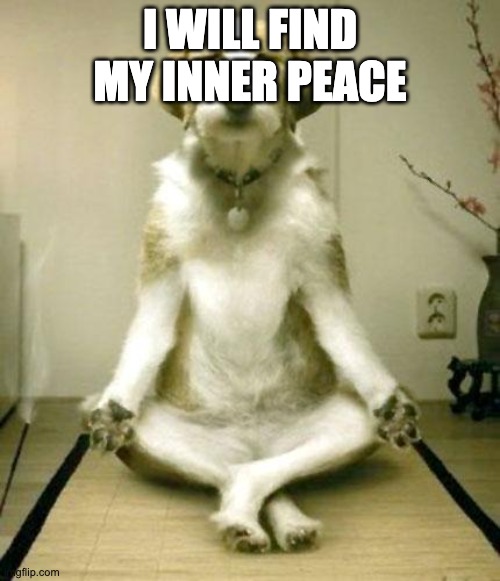 I just embarrassed myself in class. I need inner peace :) | I WILL FIND MY INNER PEACE | image tagged in inner peace dog | made w/ Imgflip meme maker