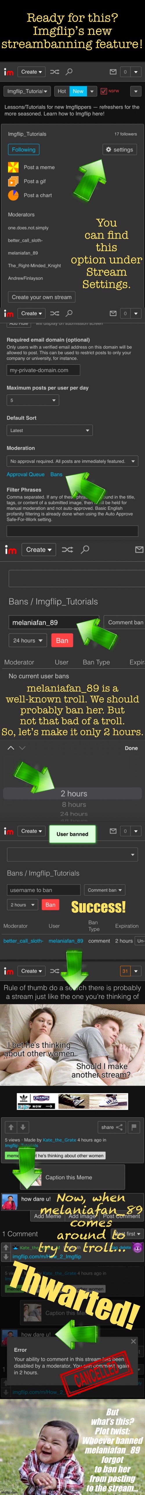 How to work this cool new feature! [Use it wisely — if you ban too many folks you might lose followers!] | image tagged in streambanning,new feature,imgflip,imgflip mods,imgflip trolls,imgflip community | made w/ Imgflip meme maker