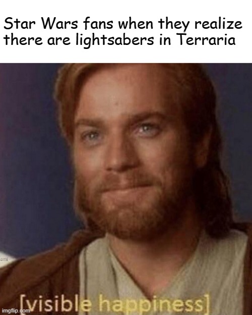 Visible Happiness | Star Wars fans when they realize there are lightsabers in Terraria | image tagged in visible happiness | made w/ Imgflip meme maker